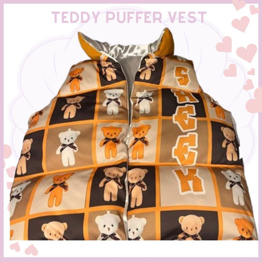 Teddy Bear vest