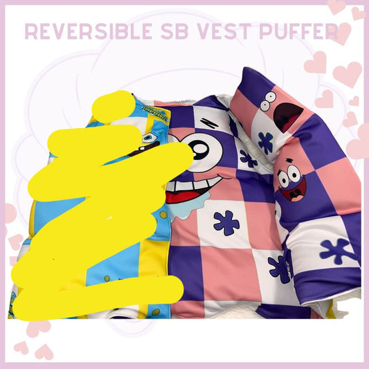 Reversible SB Vest